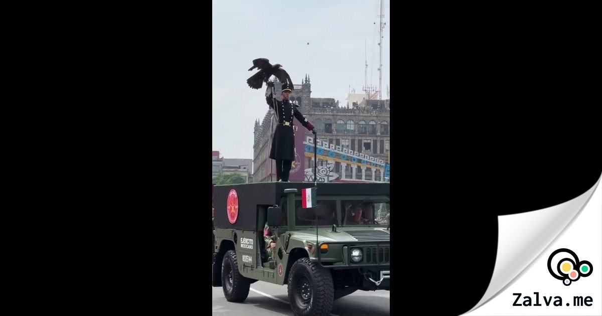 ¿Por qué México sin aviones de combate?